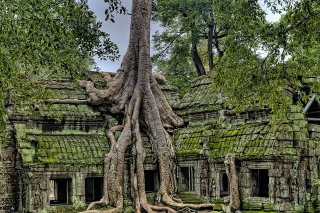 ruines des temples d’Angkor
