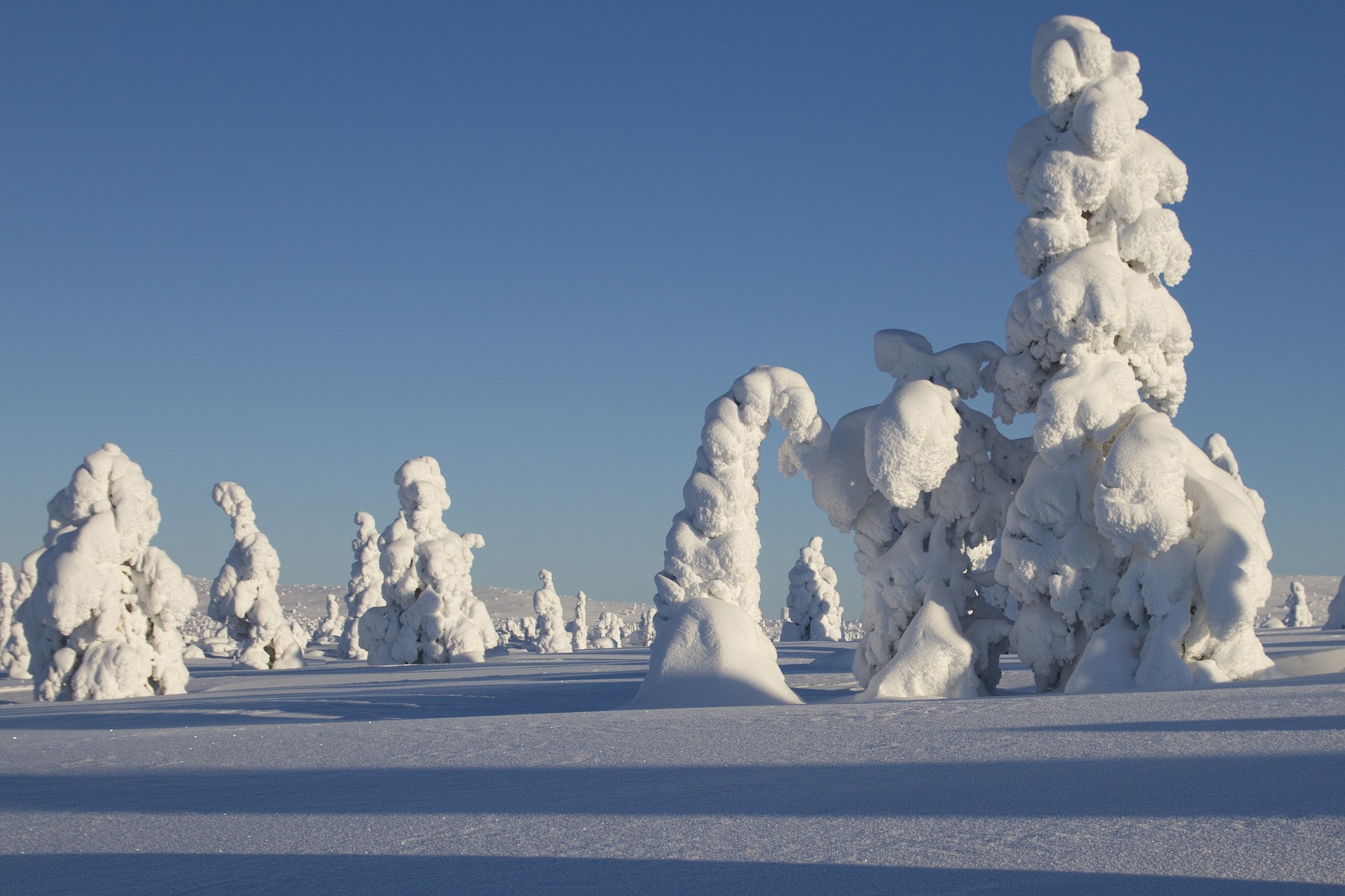 Voyage en Laponie Finlandaise